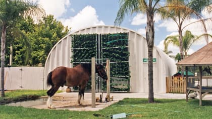 Horse Barnsa Riding Arenas