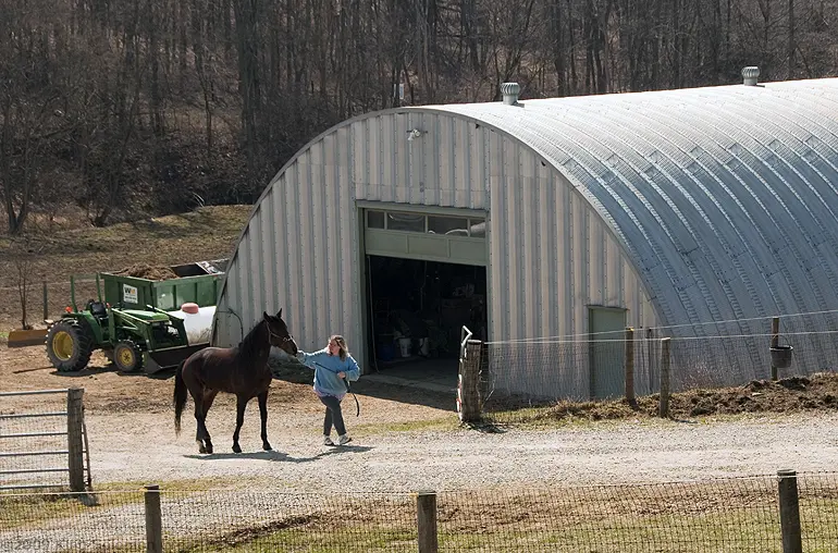 Horse barnz