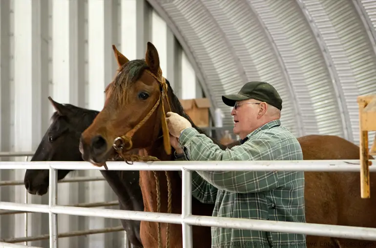 Small horse barns and care facility
